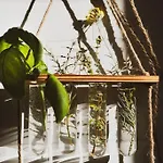 Apartmán Dreamers' Garden Neapol